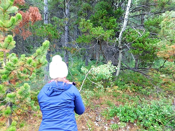 99A682435B8DC252042AA8