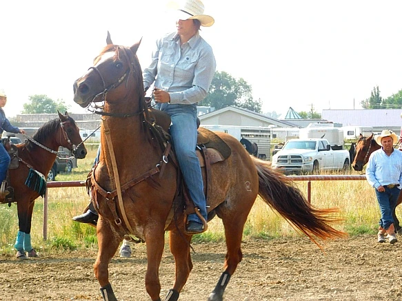 99CA7E405B7A33E52CC62F