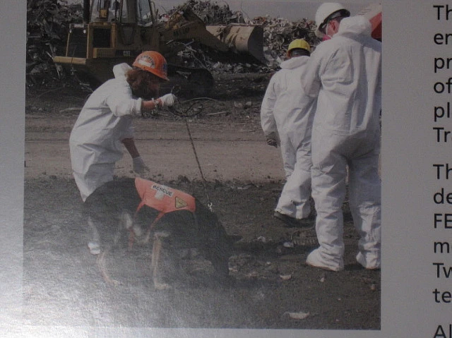 116DDB324C6EC9D21278E6