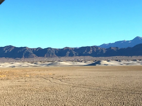 991136335A21DE911CC83C