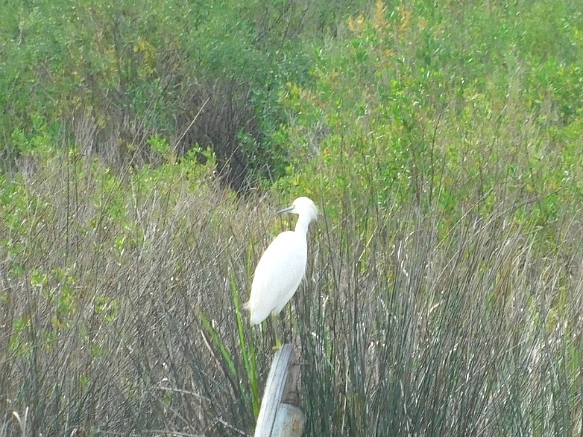 993D9B365BF9F8C508671D