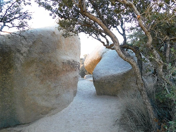 997D8D455BE4EF27267759