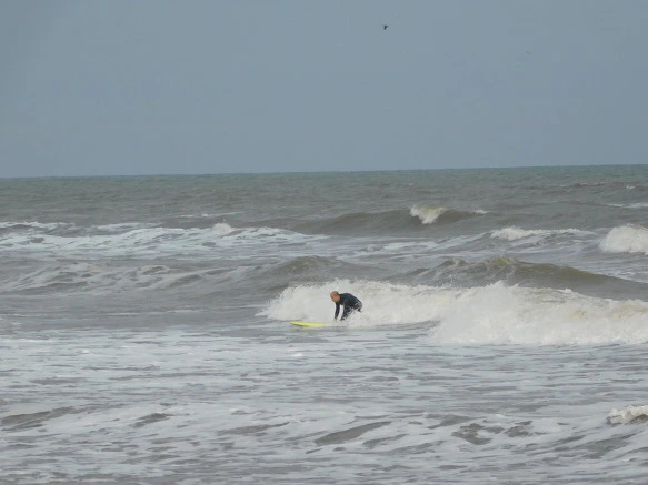 9945B4385BF76EEE2ABBB6