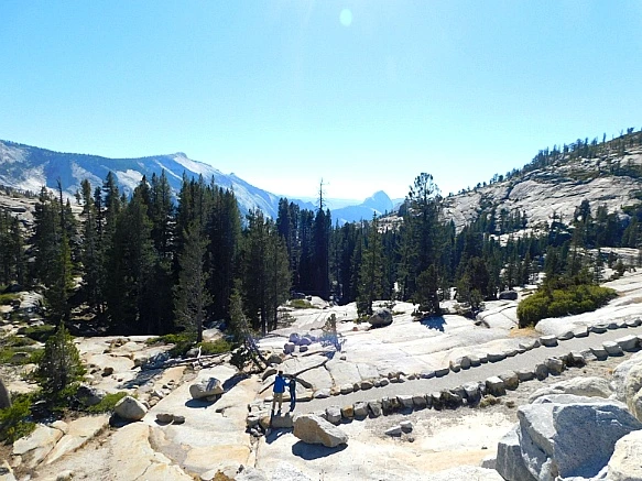 99CB89335BD670103559EF