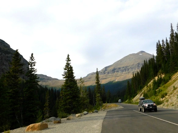 99C44E3359A103AC12D153