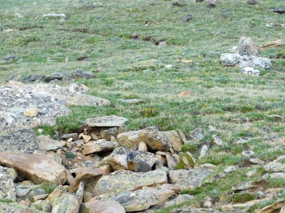 99C0D3455B29EC7907B81B