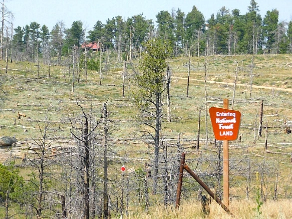 995B0D4F5B7653BB325B06