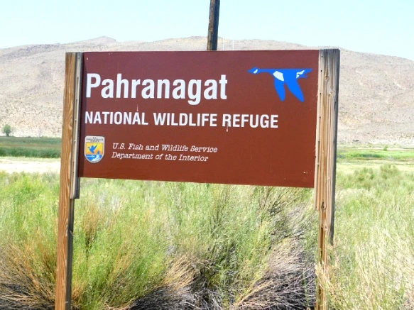 2478B846576CC6271149C6