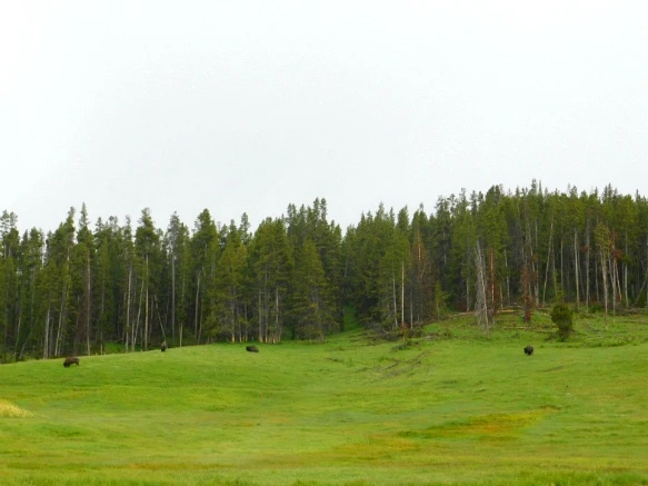 99CCAF465B39A6691B86EC