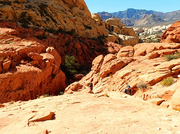 997DDF3F5BCD1DA639A3D4