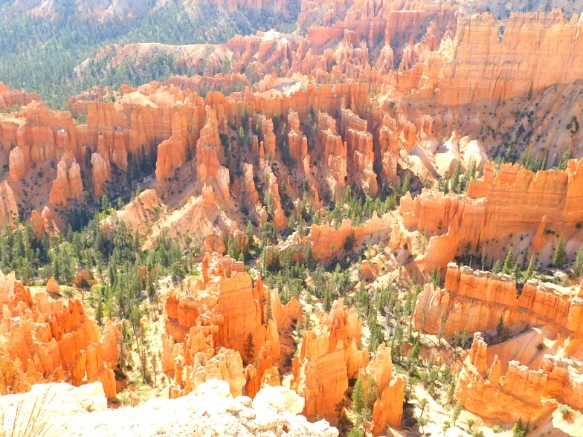 241EA4355769D77A1F5A07