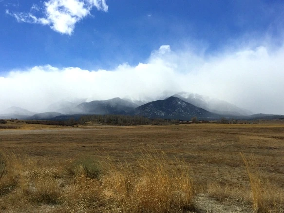 2765873456FC4889066083