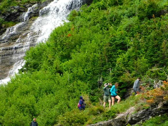 99BF464C5B3812C32EB92F