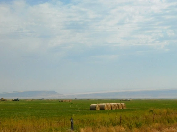 996D113359A779D61DC319