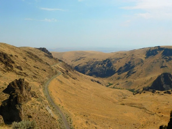 999A653359A77C802CD693