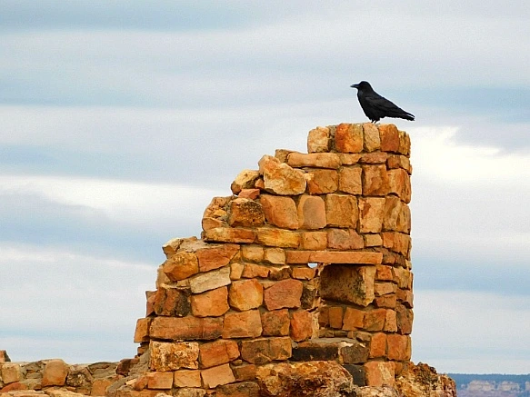 991AFD375BC9502B313878