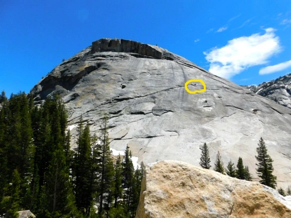 272D7741577218F82AB6F0