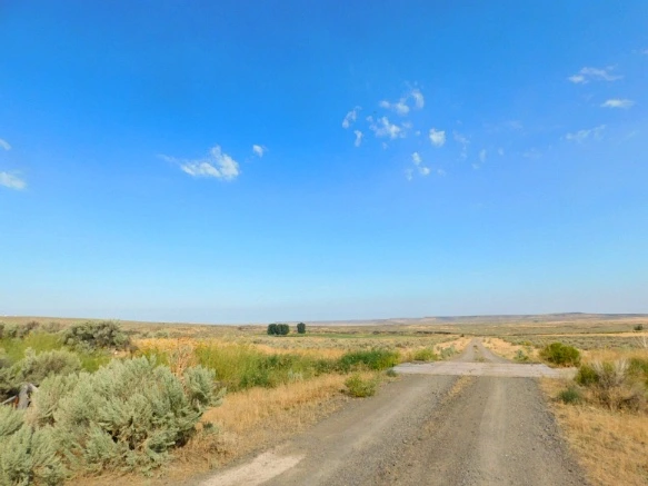 9975A73359A77C702902BB