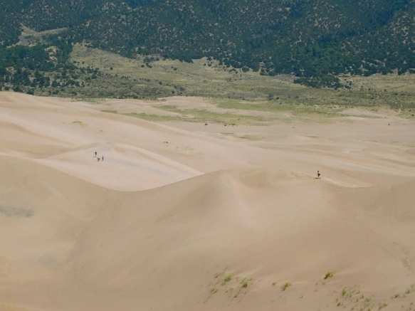 994A384F5B692338152493