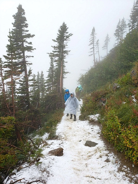 99421F4B5BA84DAF316F5E