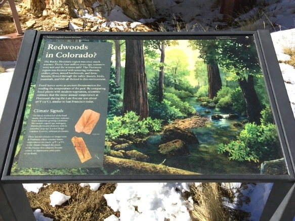 247C873956F735962DB8D5