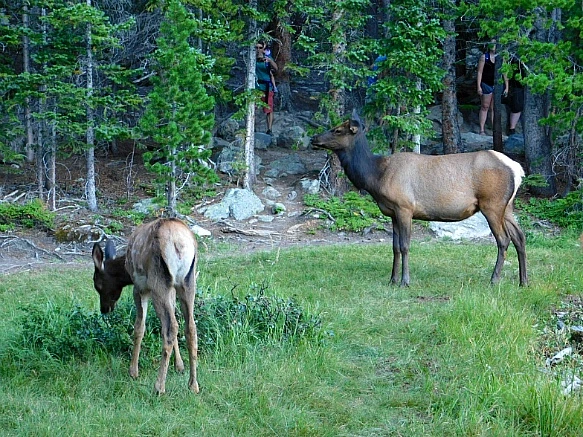 993C064A5B726905479185