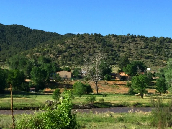 260F4F3E575E32542E855B