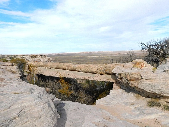 99A834395BE679222B0797