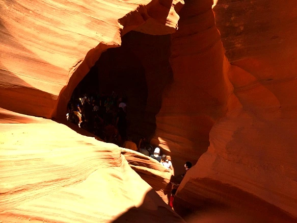 2152133D576A0038155987