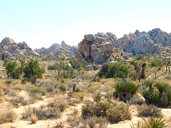 999AB54F5BE11CA60881DE