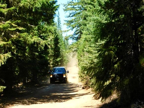 99D87B3359A62C6C02334D