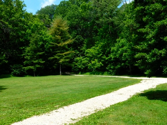 2517194F59484C430B8387