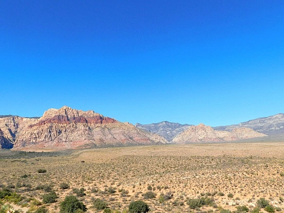 99D5303D5BCD1AF32E2568