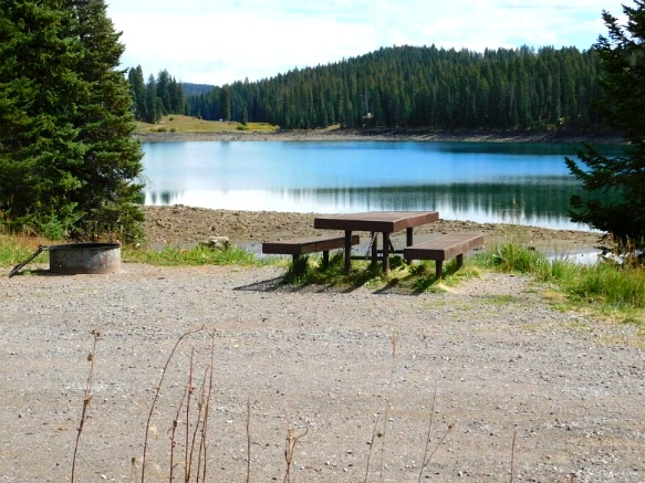 99C4463359BF48A60CB219