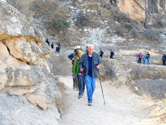 997498335A1F5F24011115