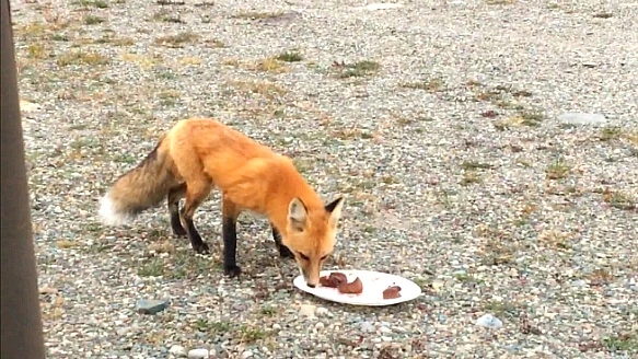 99C804445B95EEE70F6354