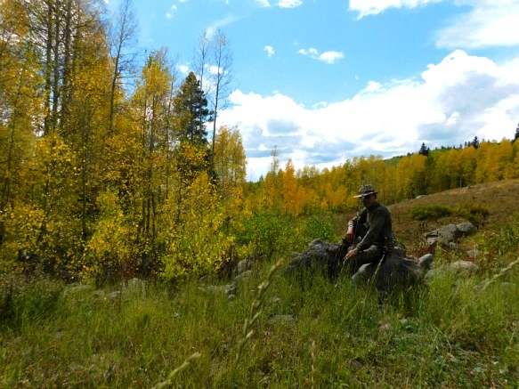 992BD63359BF4A77016E16