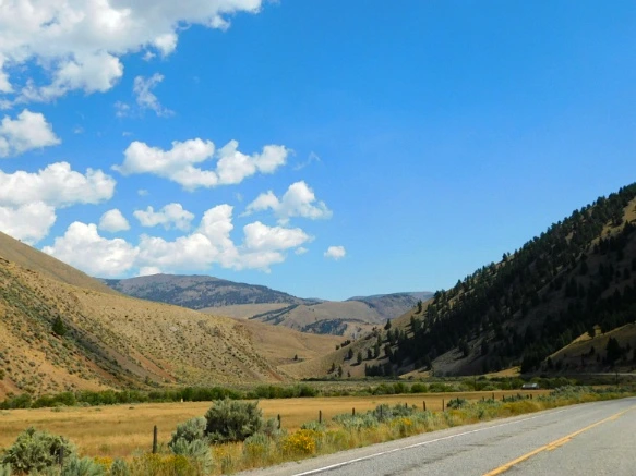 991FC53359AB28DC11851E