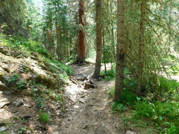 990D84485B6E69FD1572F4