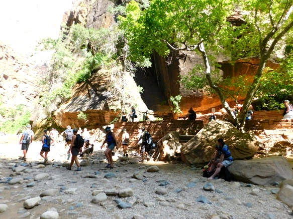 998CE63359BB15213BBB55