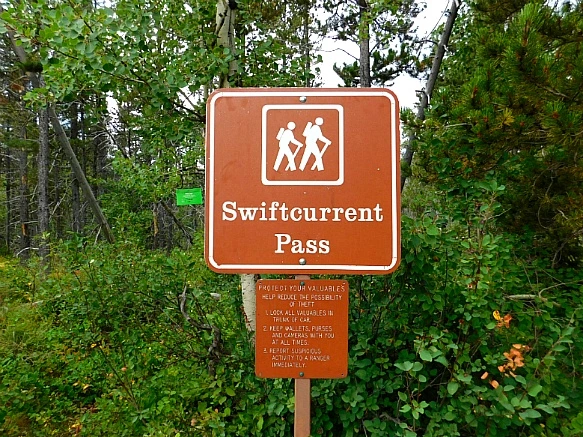 993DDF365B8CA15D3A3555