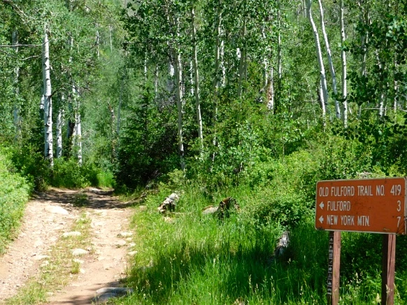 2435B24E595C2CA20E624C