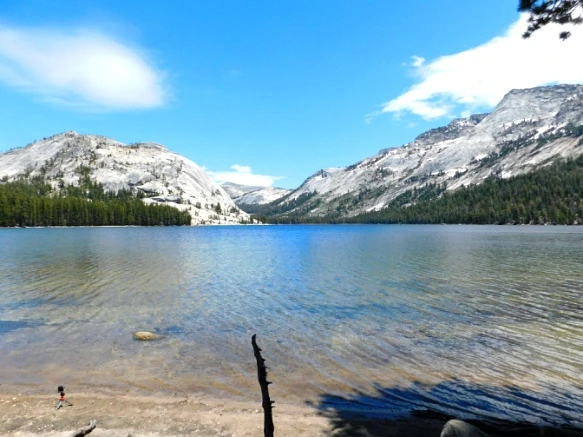 2630E83F5772190D1A2E7F