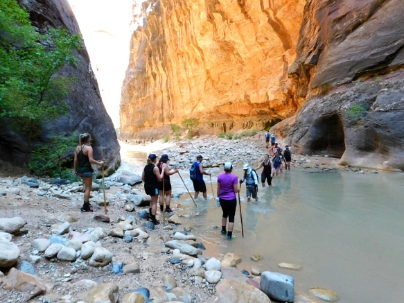 99CFCD3359BB14F30613D6