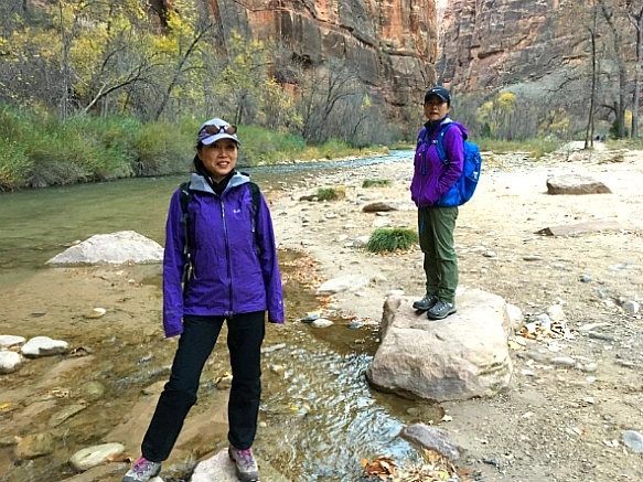 990C5D335A1CC01F1B70F6