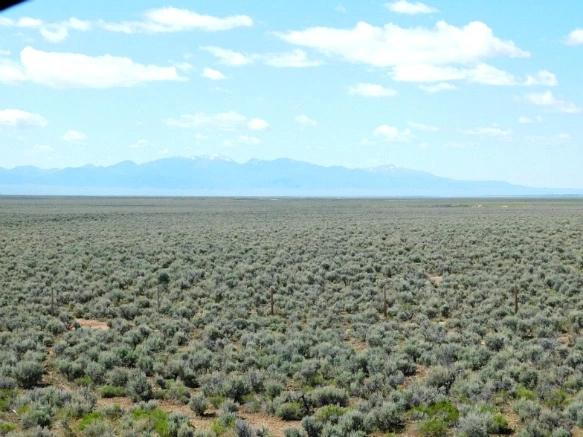 251F1D4059334D90123AE0