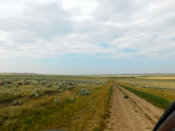 994D6C445B77A1D736093F