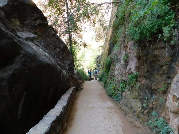 99F13F3359BB12DC01082B