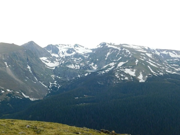 992310455B29EC7F18B14E