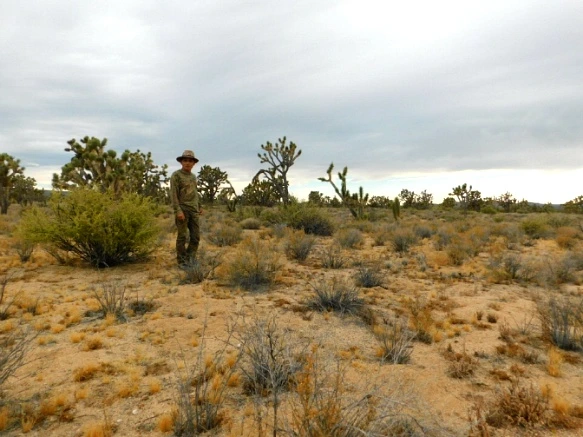 2442D65057782A7929E84D